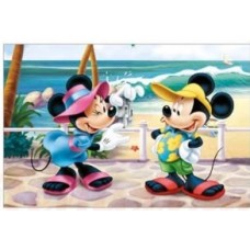 70668 A VAFA MICKEY SI MINNIE DISNEY MODECOR 30x20cm